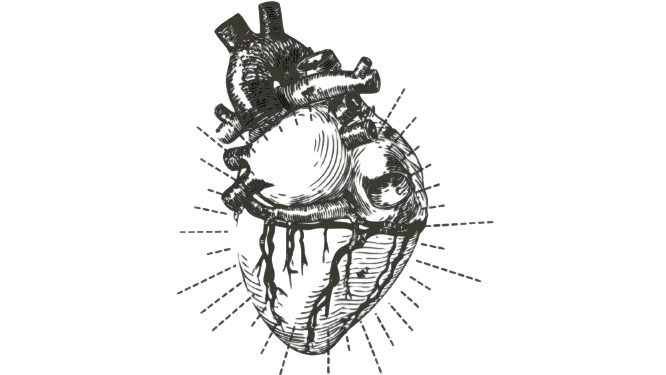 Sacred Anatomical Heart - Mistress Diana's Logo